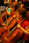 cellos